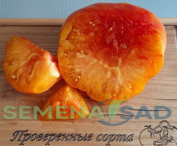 Томат Золотая Медаль цв.п 10шт Медведев