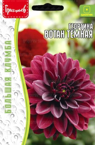 Георгина Вотан Тёмная (Wotan Dark Leaf) цв.п 15шт ИП Григорьев