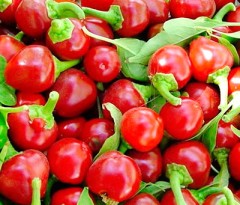 Перец Рябинка кустарниковый цв.п 0.05гр СеДек