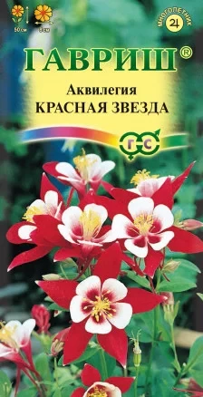 Аквилегия Красная звезда гибридная цв.п Гавриш