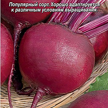 Свёкла Бордо 237 цв.п 3гр Аэлита