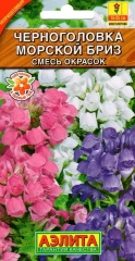 Черноголовка Морской Бриз смесь цв.п 0,05гр .Аэлита