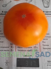 Томат Красавица Под Вуалью цв.п 10шт Медведев
