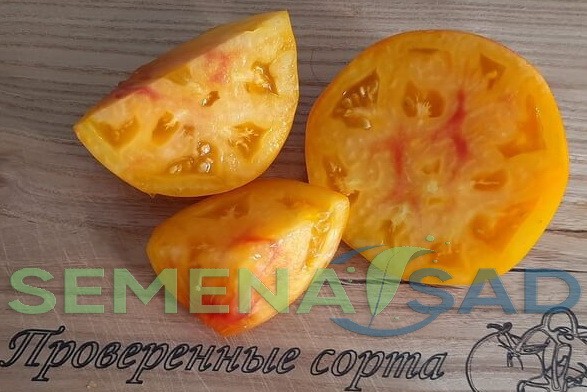 Томат Красавица Под Вуалью цв.п 10шт Медведев