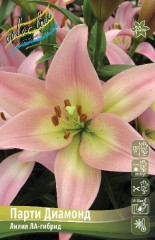 Лилия Парти Диамонд ЛА-гибрид Colorline