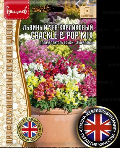 Львиный Зев Crackle & Pop Mix карликовый цв.п 5шт ИП Григорьев