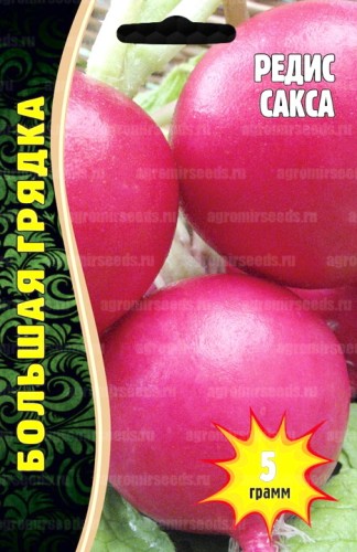Редис Сакса цв.п 5гр ИП Григорьев