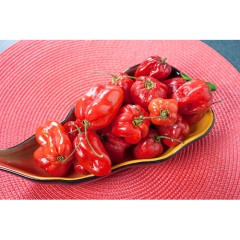 Перец Хабанеро Красный (остр.) цв.п 6шт СеДек