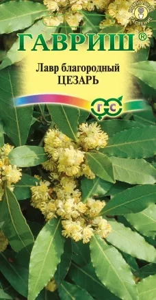 Лавр благородный Цезарь цв.п 3 шт Гавриш