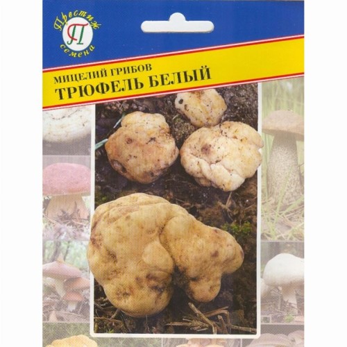Мицелий грибов Трюфель Белый, 50мл, Престиж