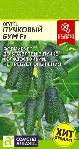 Огурец Пучковый Бум F1 цв.п 5шт Семена Алтая