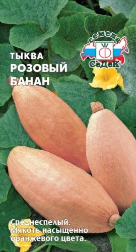 Тыква Розовый Банан цв.п 1гр СеДек