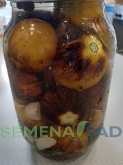 Томат Основные Цвета цв.п 10шт Медведев