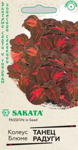 Колеус Танец Радуги цв.п 4шт Гавриш Sakata
