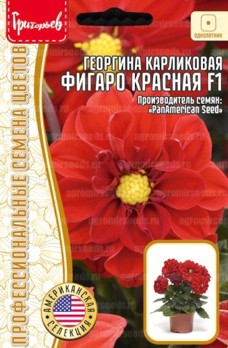 Георгина Фигаро Красная карликовая F1 цв.п 5шт ИП Григорьев