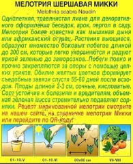 Мелотрия Микки цв.п 10шт Аэлита