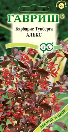Барбарис Тунберга Алекс цв.п 0,2гр Гавриш