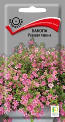 Бакопа Розовая Лавина цв.п 5шт Поиск