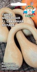 Тыква Сахарная Булава F1 мускатная цв.п 1гр СеДек