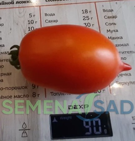 Томат Засолочный Деликатес цв.п 10шт Медведев