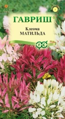 Клеома Матильда цв.п 0.2гр Гавриш