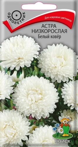Астра Белый Ковёр низкорослая цв.п 0,2гр Поиск