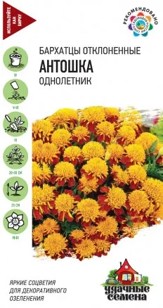 Бархатцы Антошка цв.п 0,3гр Удачные Семена