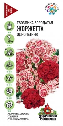 Гвоздика Жоржетта цв.п 0,2гр Удачные Семена