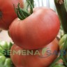 Томат Изюмный Розовый цв.п 10шт Медведев
