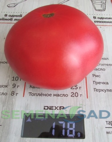 Томат Изюмный Розовый цв.п 10шт Медведев