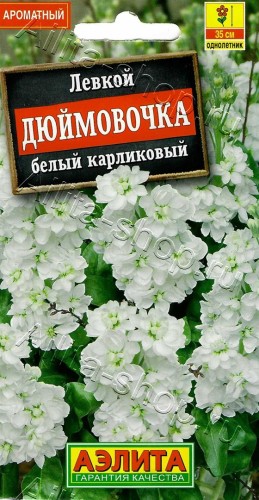 Левкой Дюймовочка белый карликовый цв.п 30шт Аэлита