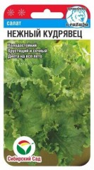 Салат Нежный Кудрявец.п 0,5гр Сибирский Сад