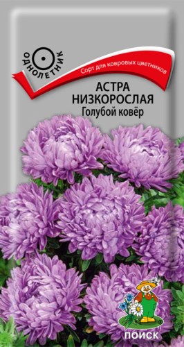 Астра Голубой Ковёр низкорослая цв.п 0,2гр Поиск