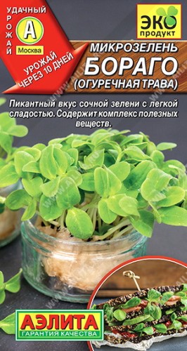 Микрозелень Бораго (огуречная трава) цв.п 3гр Аэлита
