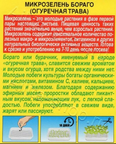 Микрозелень Бораго (огуречная трава) цв.п 3гр Аэлита