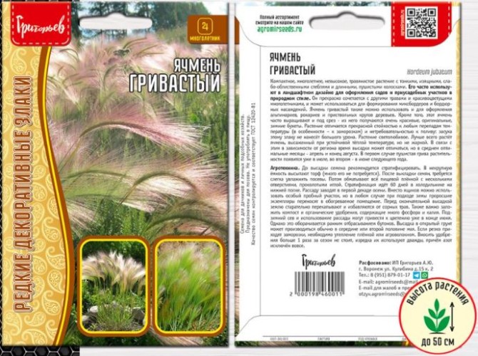 Ячмень Hordeum jubatum гривастый цв.п 0,1гр ИП Григорьев