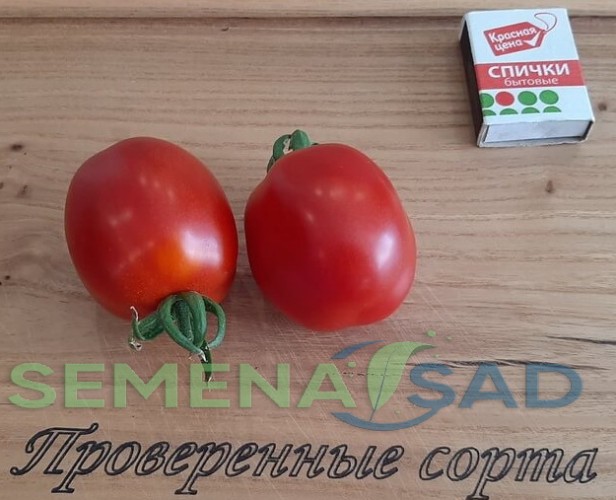 Томат Красный Гроздевой цв.п 10шт Медведев