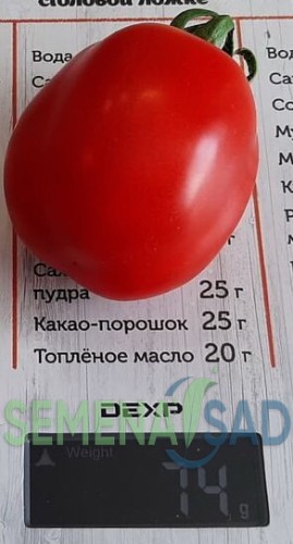 Томат Красный Гроздевой цв.п 10шт Медведев