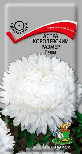 Астра Королевский Размер Белая цв.п 0,1гр Поиск