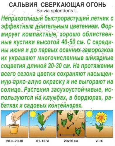 Сальвия Огонь сверкающая цв.п 0,05гр Аэлита