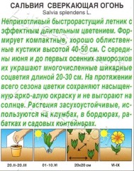 Сальвия Огонь сверкающая цв.п 0,05гр Аэлита