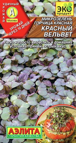 Микрозелень Горчица красная Красный Вельвет цв.п 5гр Аэлита