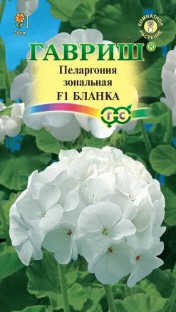 Пеларгония зональная Бланка F1 цв.п 4шт Гавриш
