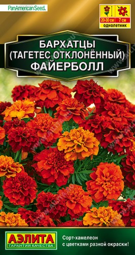 Бархатцы Файерболл цв.п 5шт Аэлита