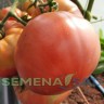 Томат Ольга цв.п 10шт Медведев