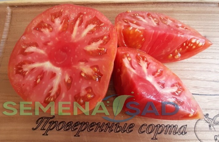 Томат Ольга цв.п 10шт Медведев