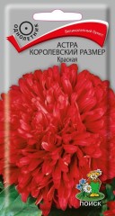 Астра Королевский Размер Красная цв.п 0,1гр Поиск