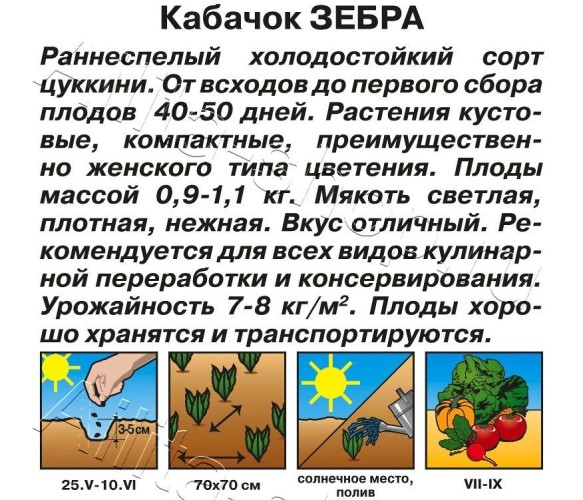 Кабачок Зебра цв.п 2гр Аэлита