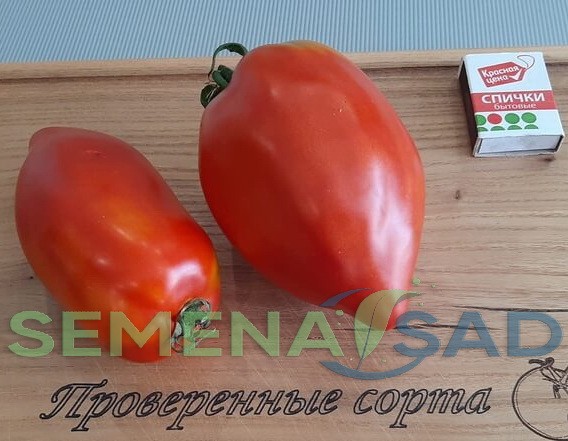 Томат Перцевидные Рыбки цв.п 10шт Медведев