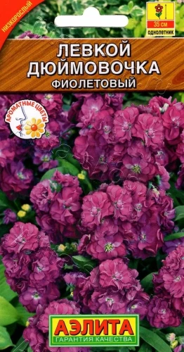 Левкой Дюймовочка фиолетовый карликовый цв.п 0,1гр Аэлита